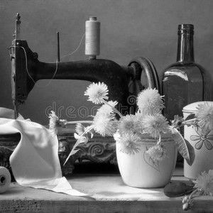 Meet your Posher, Brenda